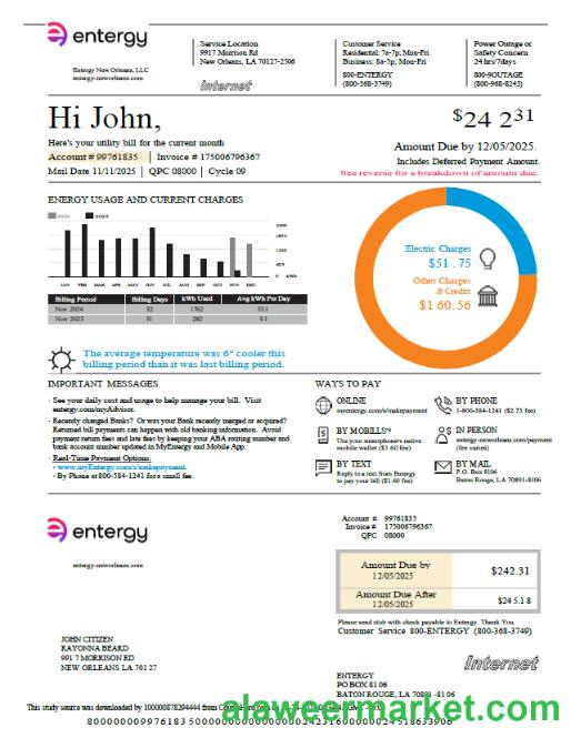 USA Entergy utility bill template in Word and PDF formats, version 2